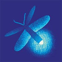 Luminescience Pictogramme Luciole