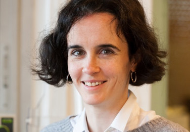 Clémence Allain